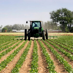 Agriculture Loans