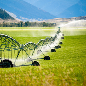 Agriculture Loans
