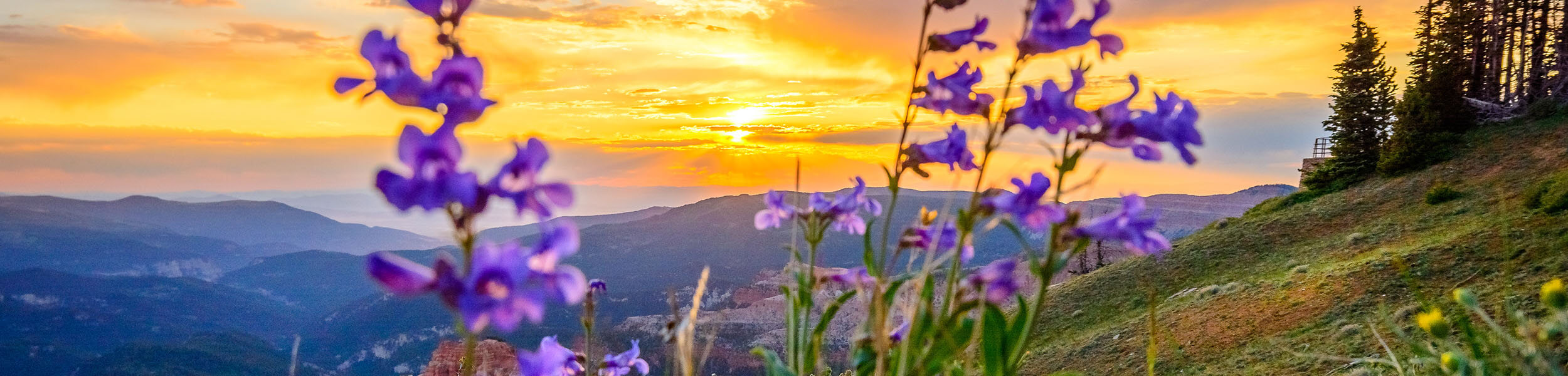 mountain and sunset