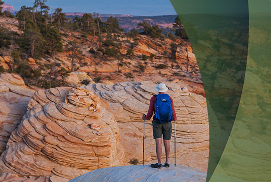 B_Savings Climber in a Canyon