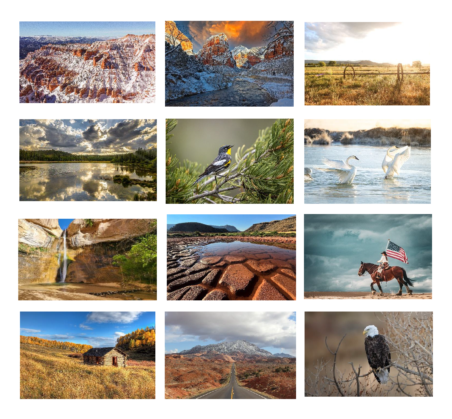 Honerable Mention multiple images of landscapes